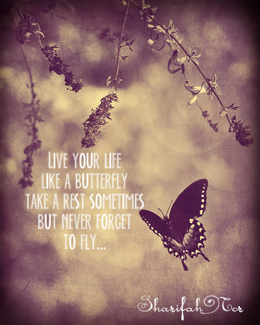 Live your life like